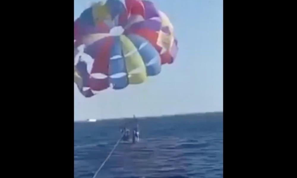 Shark leaps out of water and bites parasailer in bizarre attack