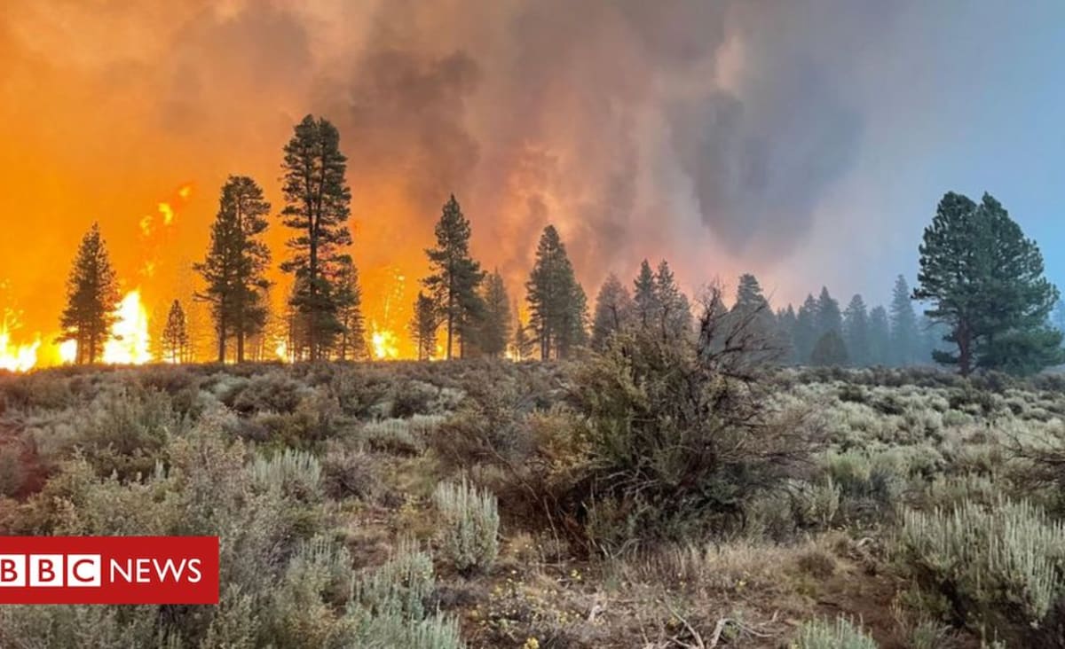 Oregon Bootleg Fire: Evacuations as largest US fire burns 300,000 acres
