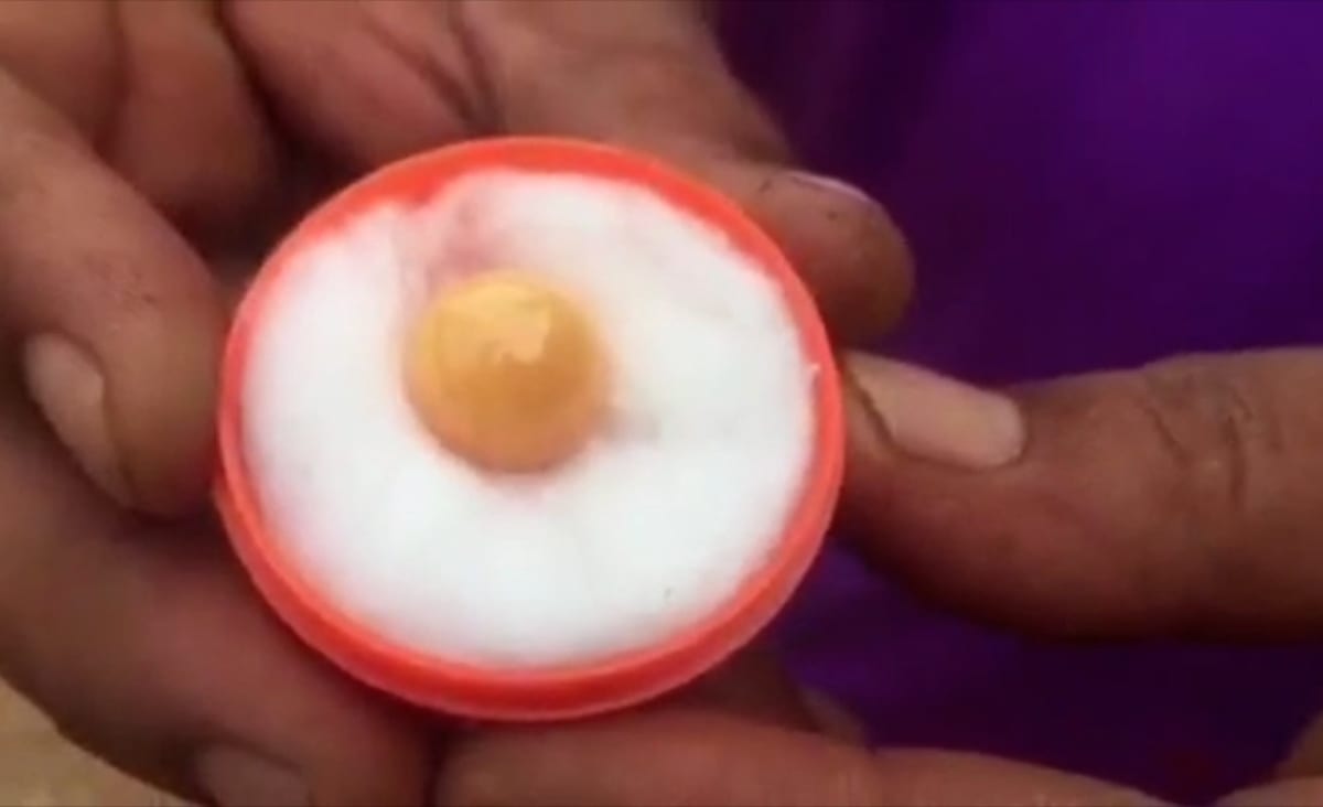 Fisherman Delighted to Find Rare Melo Pearl, Worth up to $350k, In His Seafood Lunch