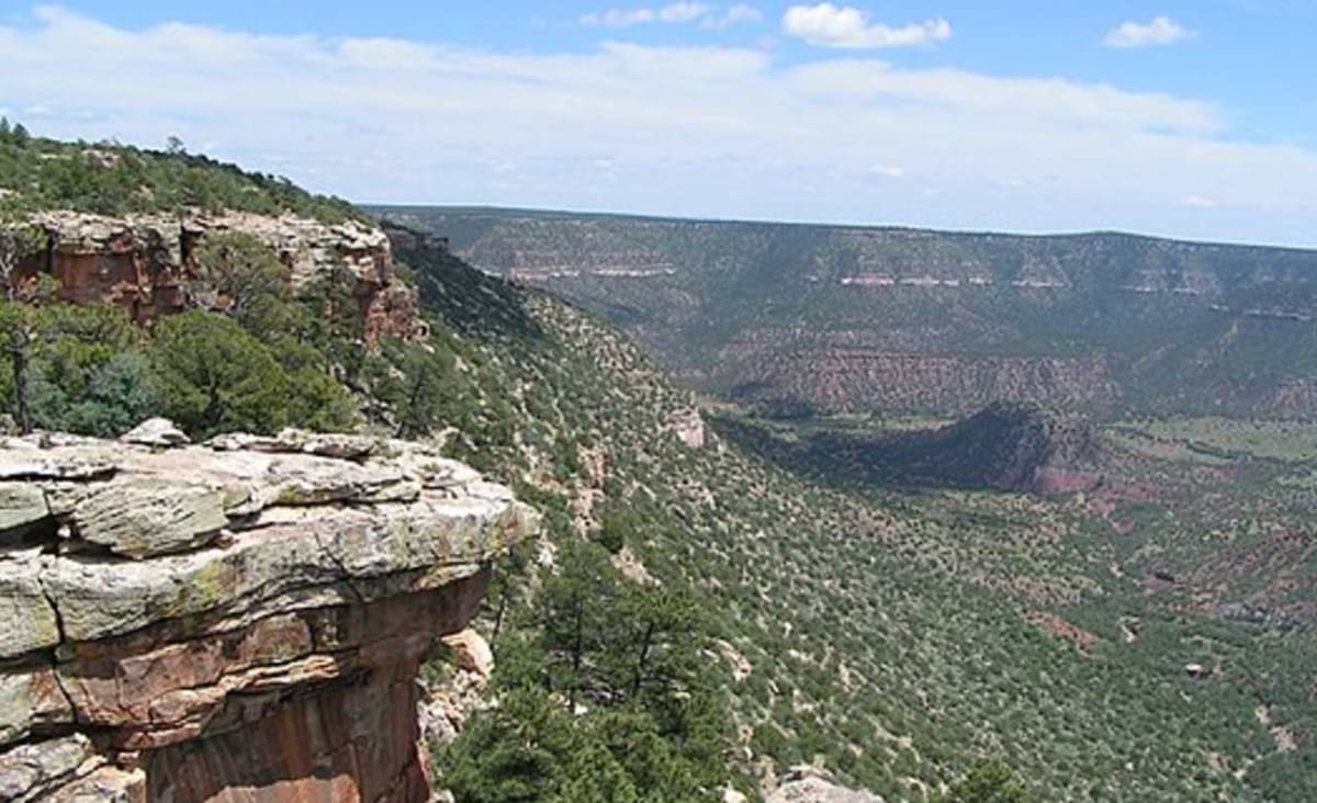 New Mexico Wilderness Area Grows by 50% After Largest-Ever Land Donation