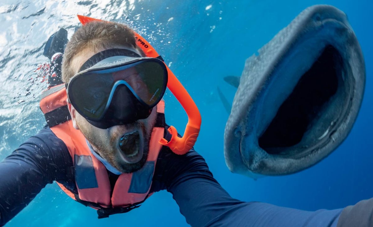 See the Moment a Shark Appears to Pose for a Selfie With a Diver, and Crack the Same Huge Smile