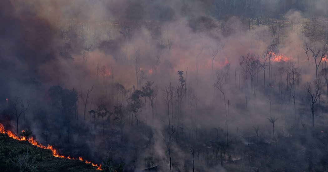 Brazil’s Leader Falsely Blames Leonardo DiCaprio for Amazon Fires