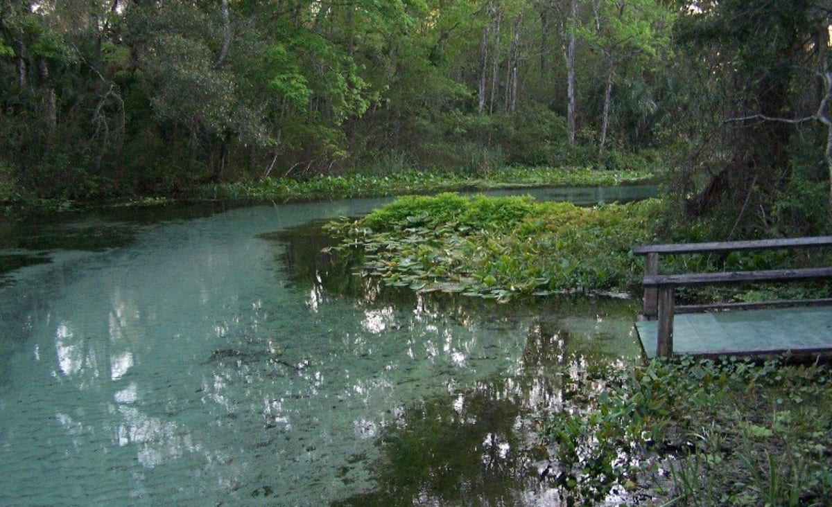 This Natural Lazy River in Florida is The Perfect Weekend Escape