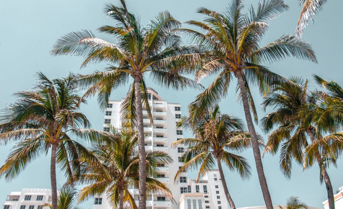 20 Incredible Free Things To Do In Miami Right Now