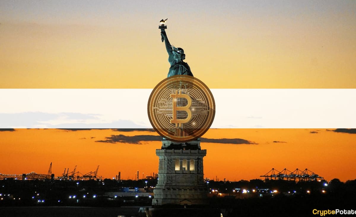 One in Every Four Americans in Favor of Legalizing Bitcoin in the US: Survey