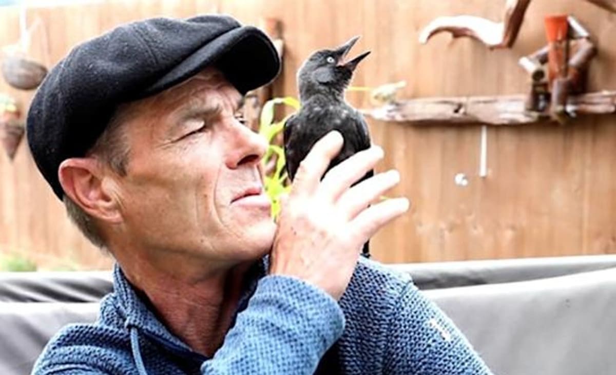 Man and This Wild Bird Have an Adorable Bond After a Chance Roadside Encounter