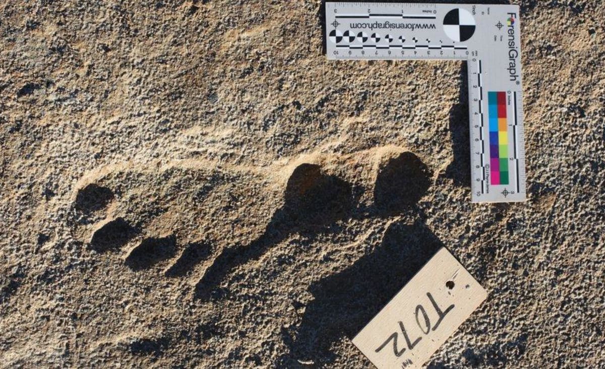 Footprints in New Mexico are oldest evidence of humans in the Americas
