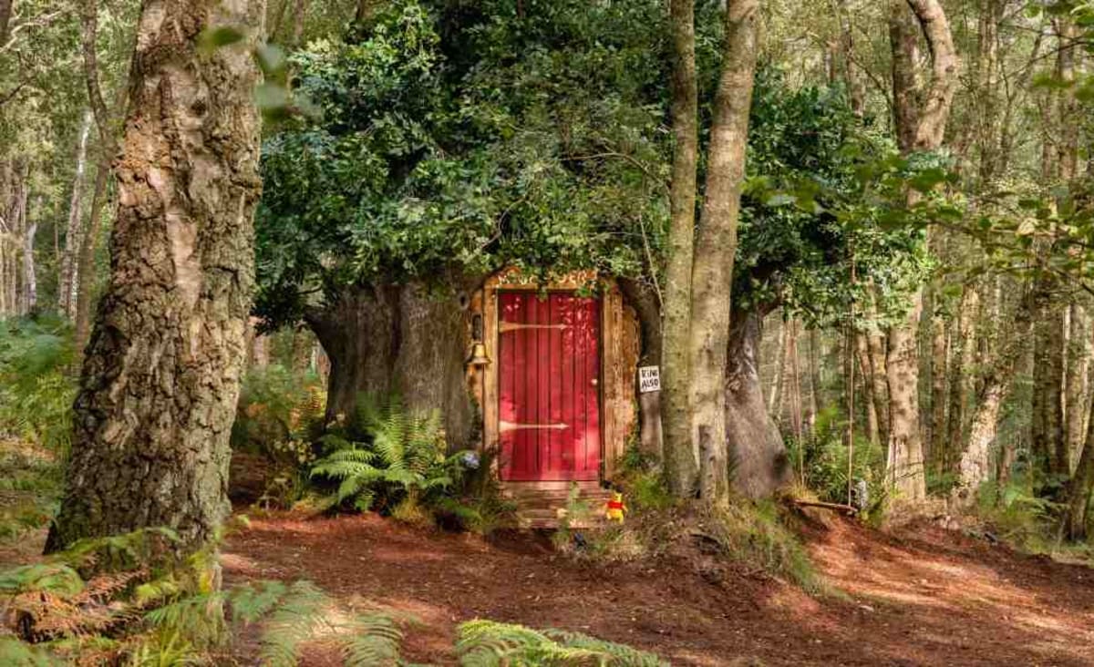 Rent Winnie the Pooh's Tree House in the Original Hundred Acre Wood at This 'Bearbnb'