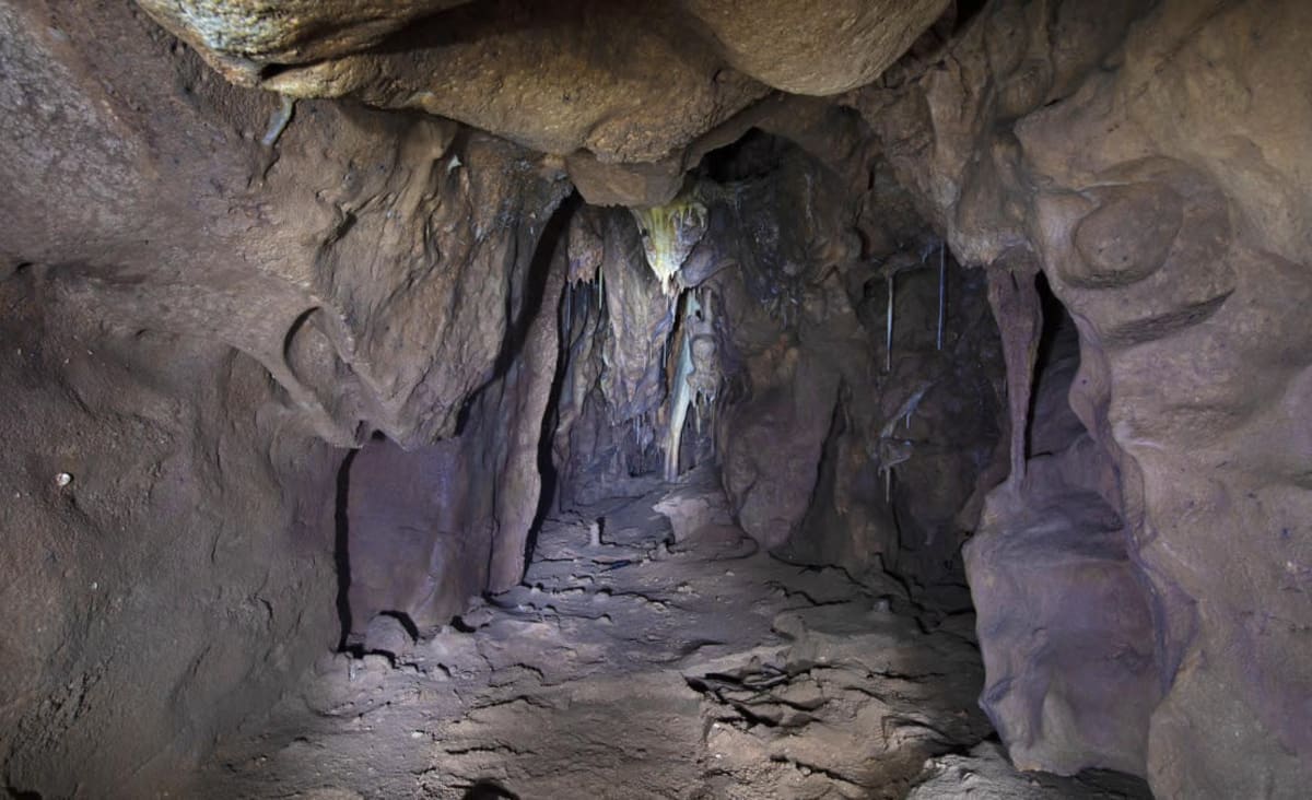 Scientists Unseal Secret Cave Chamber Used by Neanderthals