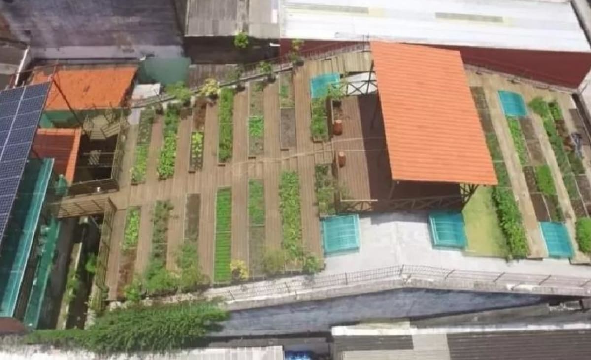 Horta no telhado, criada há 5 anos, alimenta 500 famílias na pandemia - Só Notícia Boa