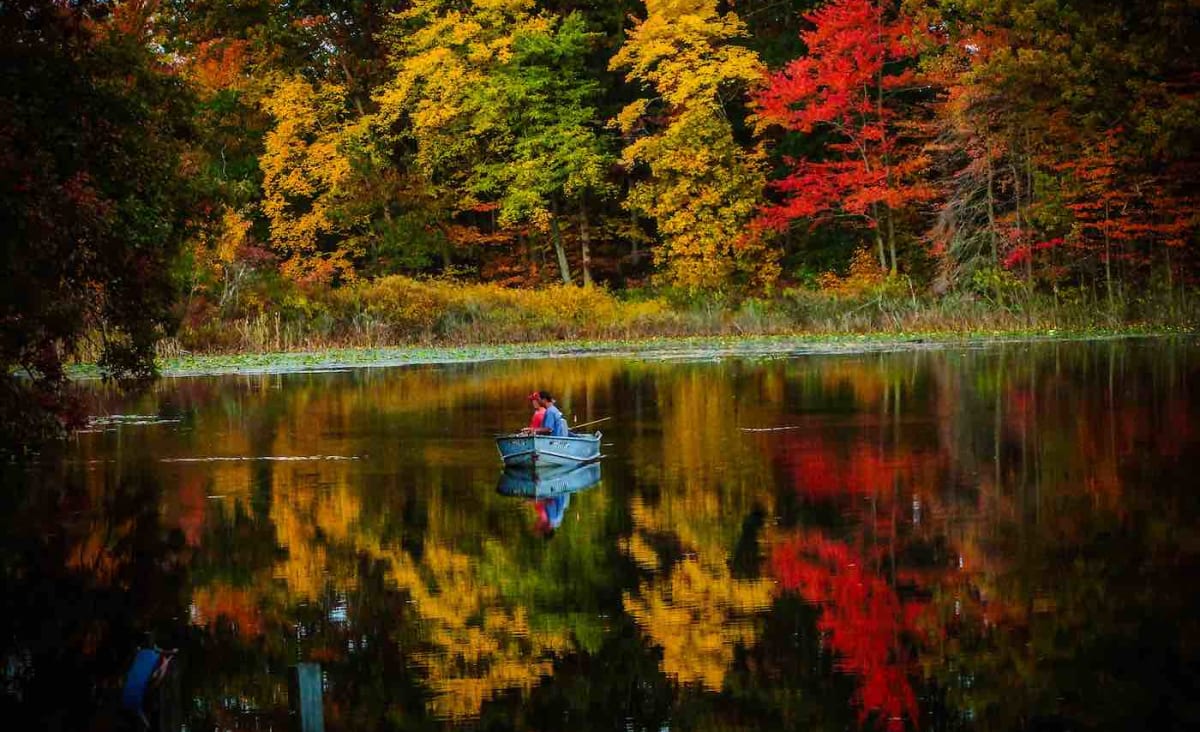 Want to Know Where The Best Fall Colors Are in Your Area? Check Out This Interactive U.S. Map