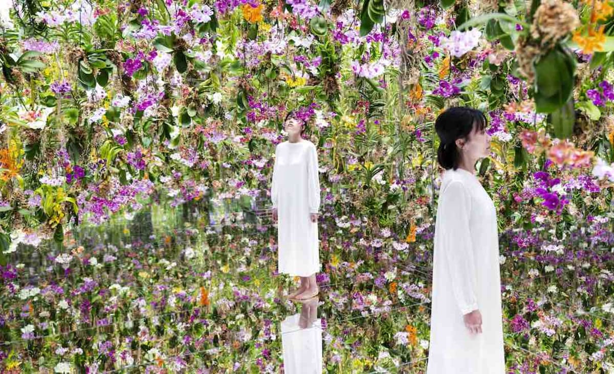 A Floating Flower Garden in Tokyo Immerses Visitors With Orchids That Move as You Approach