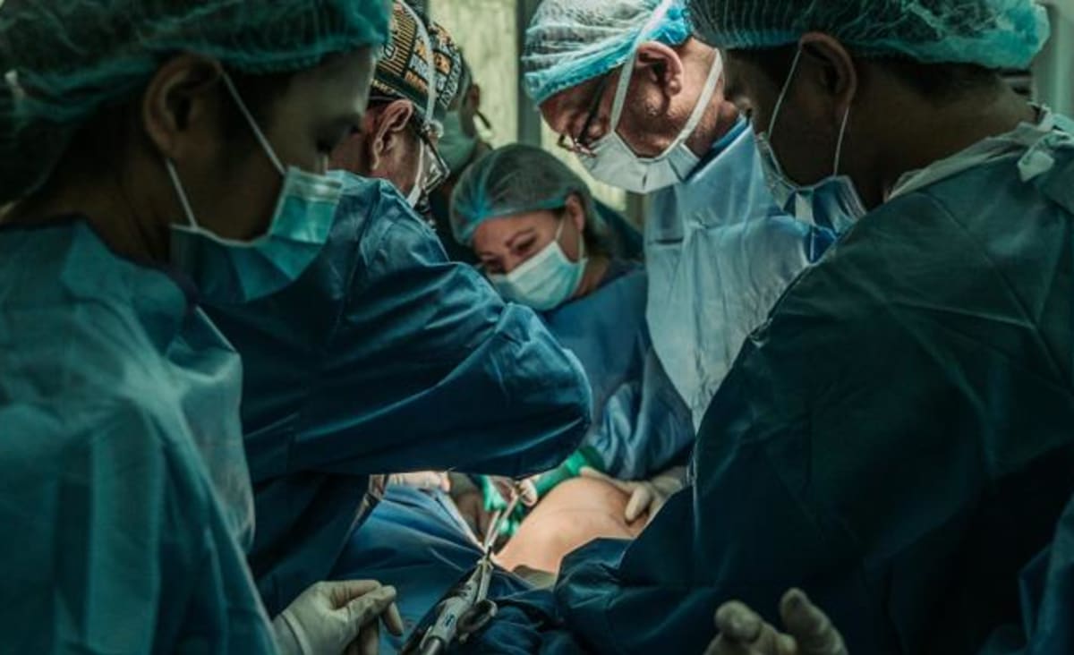 Cirurgiões testam com sucesso transplante de rim de porco em humano em feito inédito