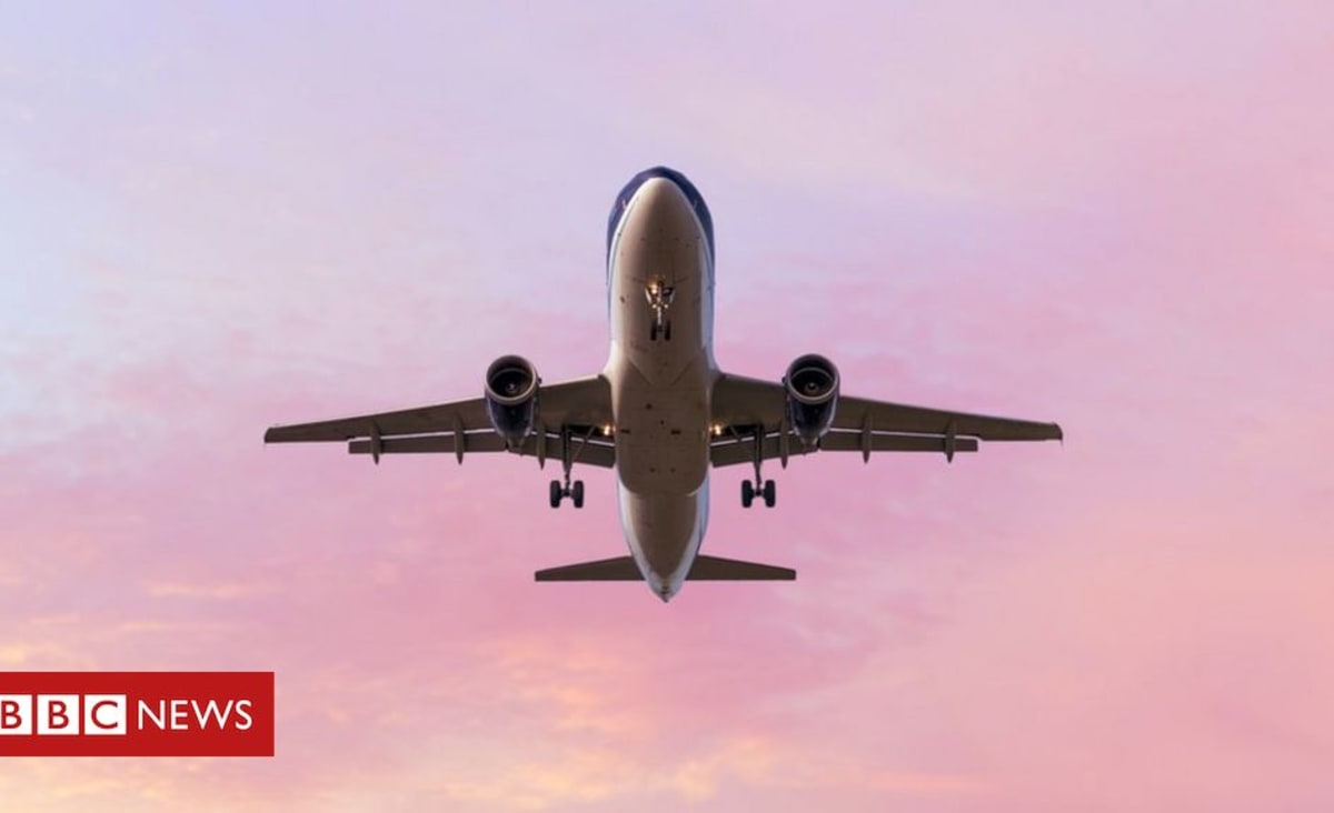 Avião despeja 'chuva de excrementos' em jardim de inglês que vive perto de aeroporto - BBC News Brasil