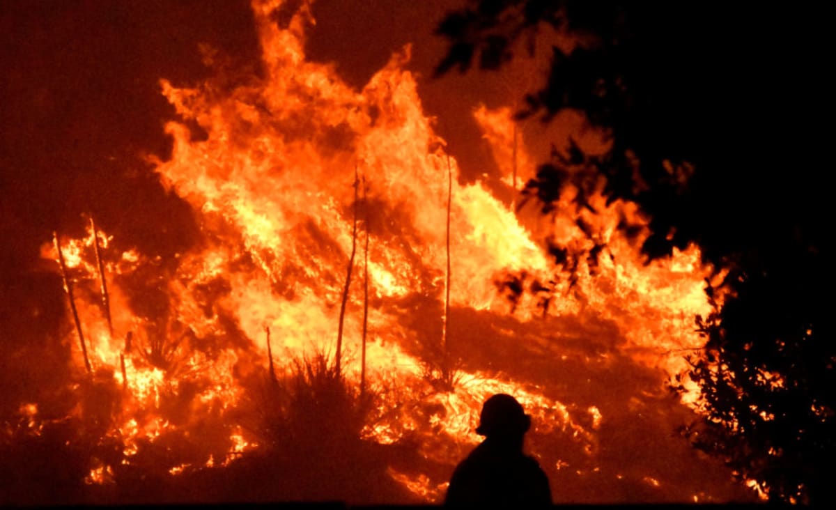 Climate change main cause of US wildfires - study