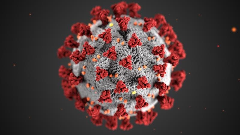 Coronavírus: mapa de evolução do vírus | NSC Total