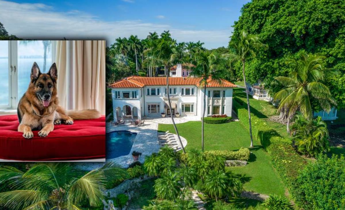 A multi-millionaire dog is selling a Miami mansion that was once owned by Madonna