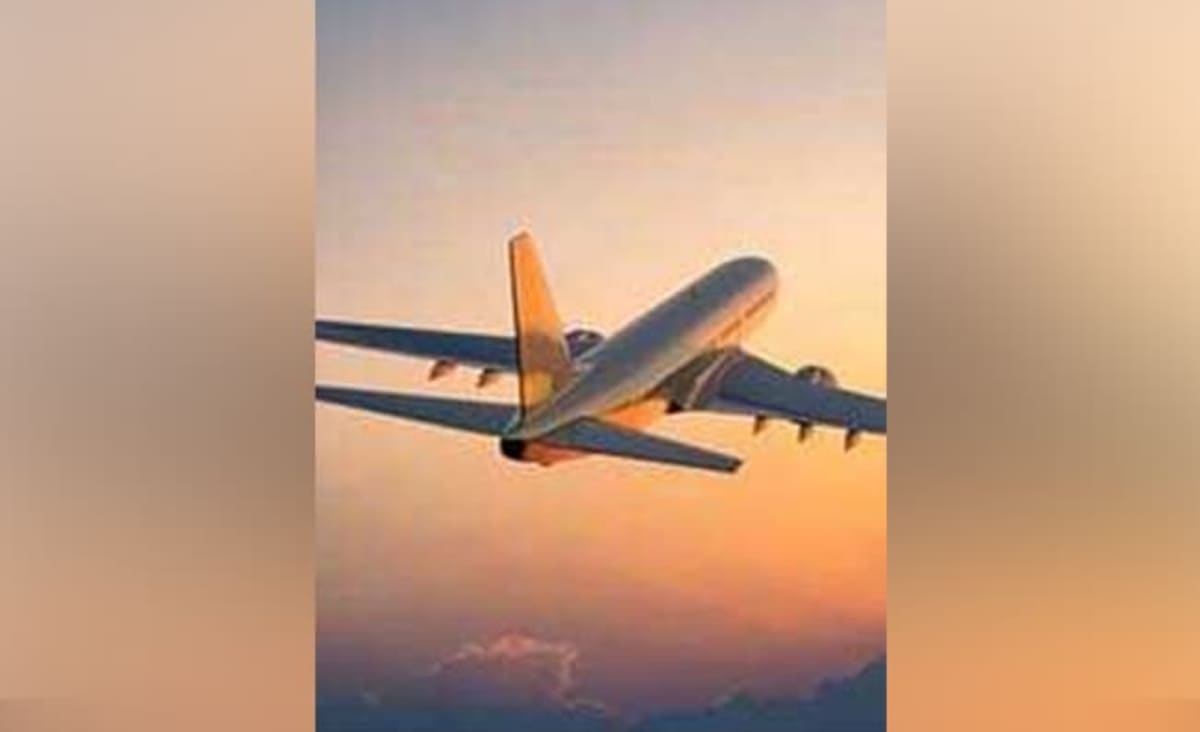 US-Bound Passengers Stranded After Flight Makes Emergency Landing