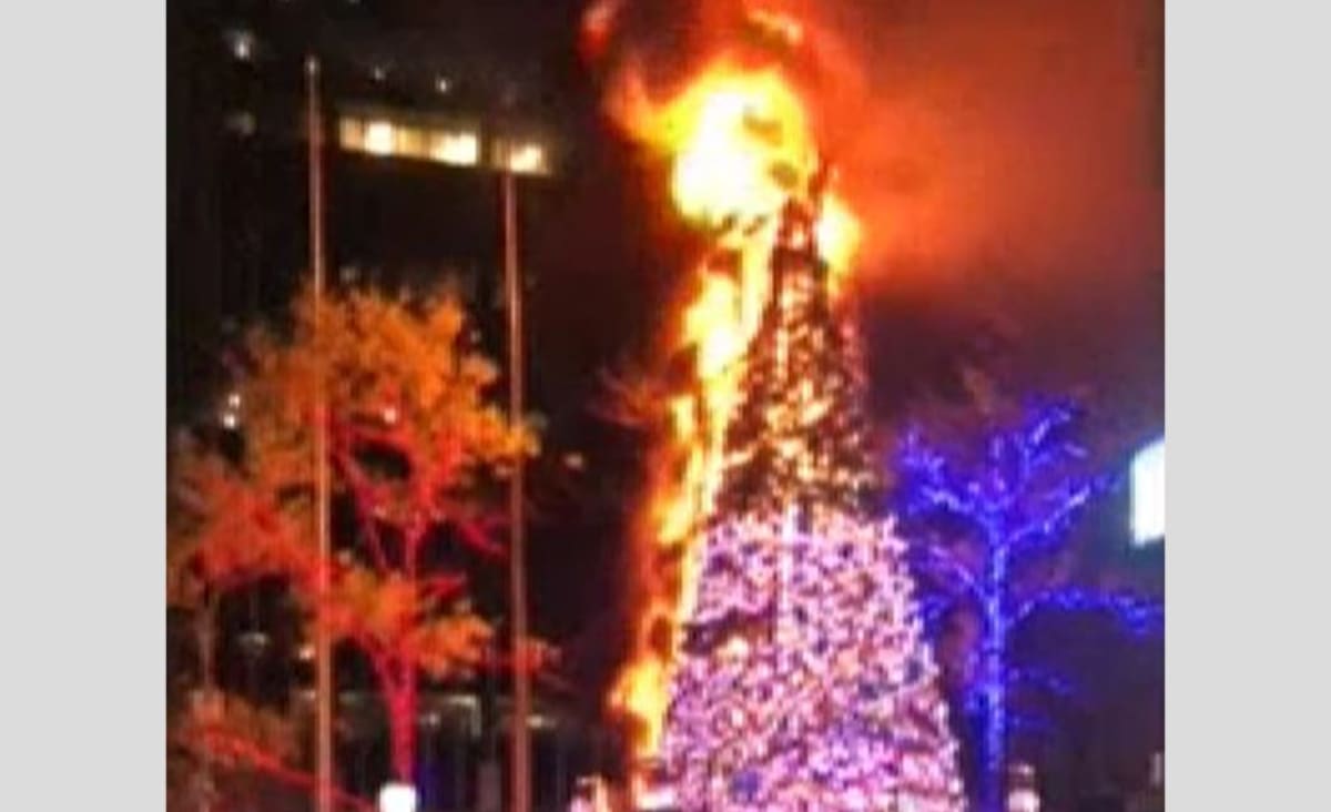 Man in custody after Christmas tree outside Fox News building set on fire, police say
