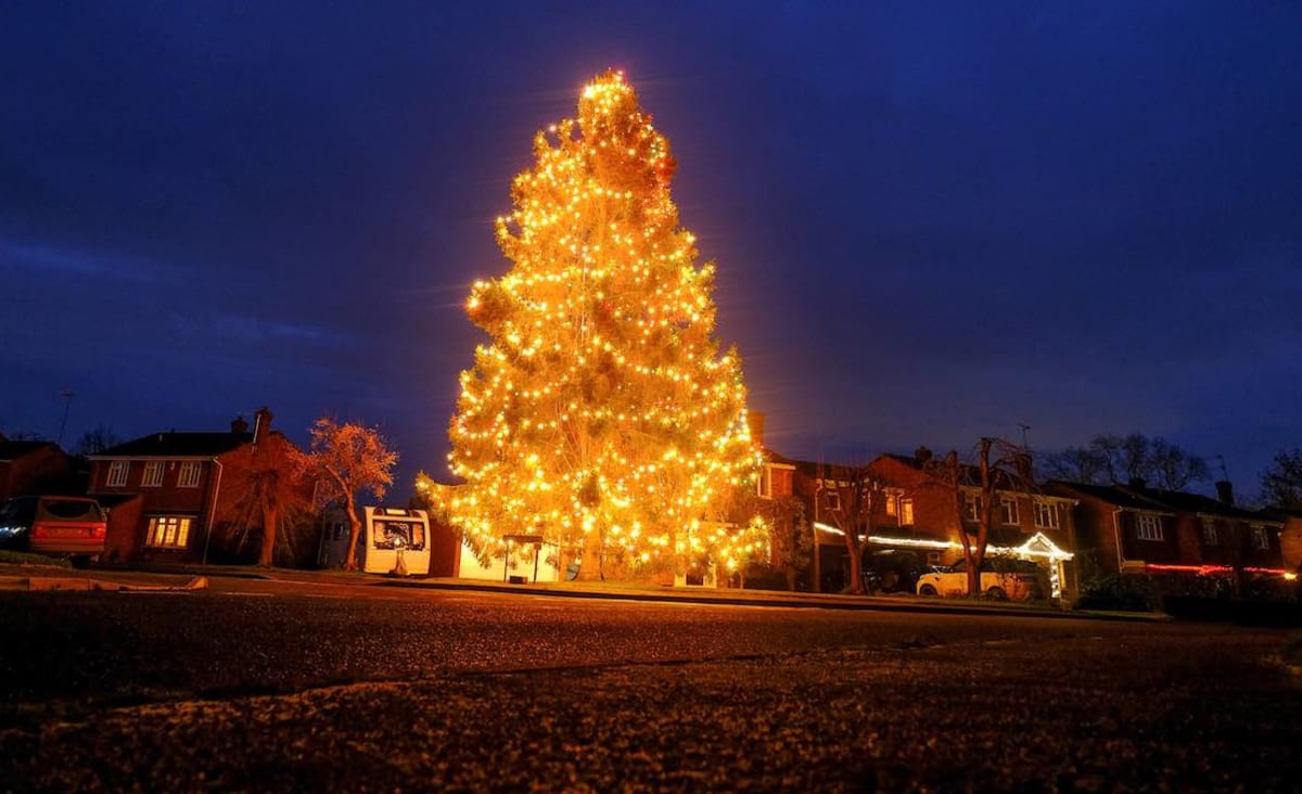 Elderly Couple Living in UK's Darkest Village Lights Up the Sky With Huge Christmas Tree They Planted in 1978