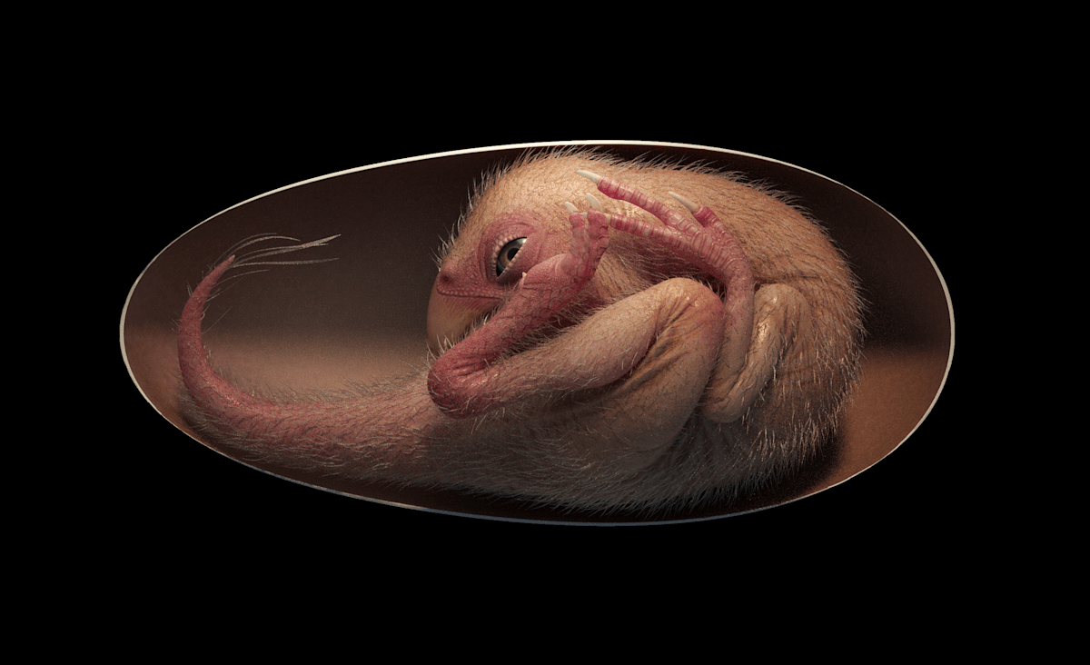A dinosaur embryo has been found in a fossilized egg