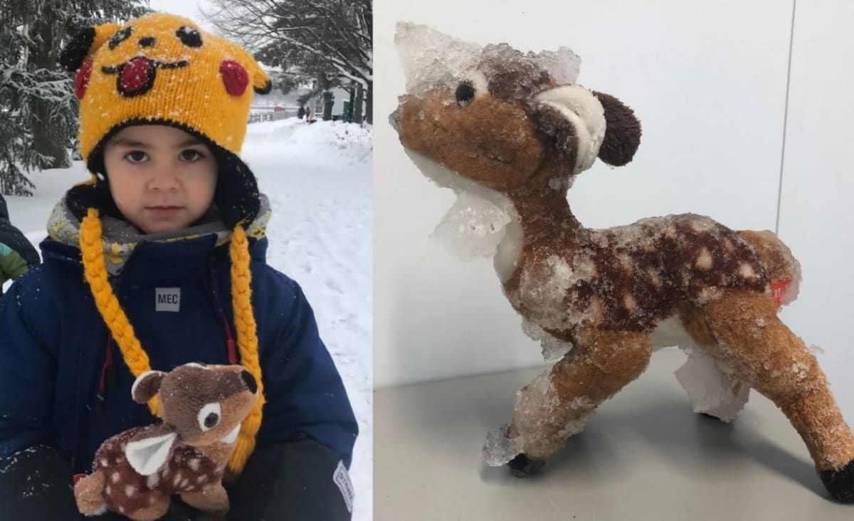 Little Boy's Stuffed Bambi Was Rescued From Frozen Canal – He Didn't Think People Would Care
