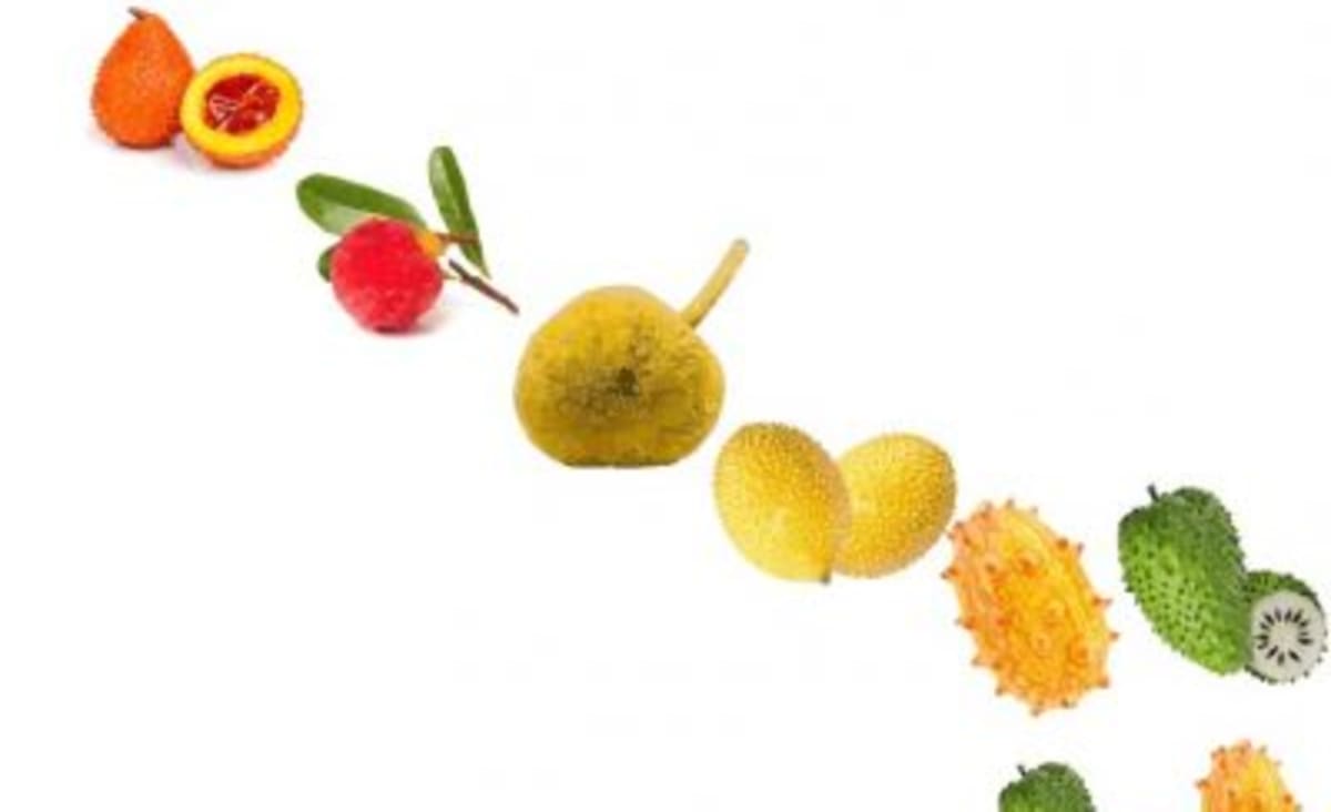 A Complete List Of Spiky Fruits (20 Best Yellow, Orange, Red & Green Spiky Fruits) - Dietary Habit
