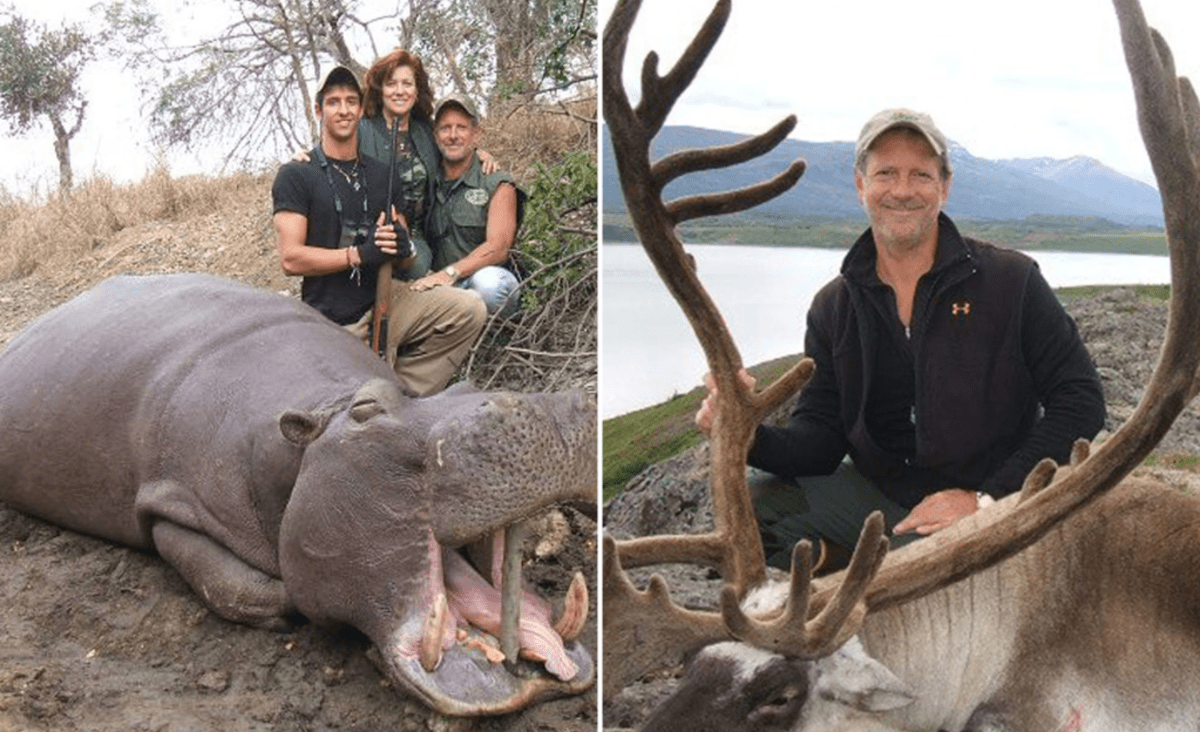 Dentist accused of killing wife during Africa hunting trip