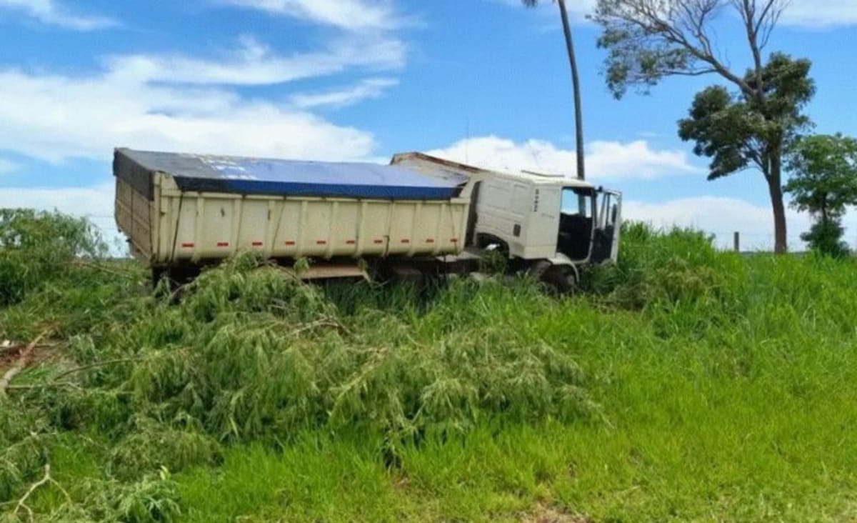Motorista morre após sofrer mal súbito e bater caminhão em árvore na SP-294 - Terra Brasil Notícias