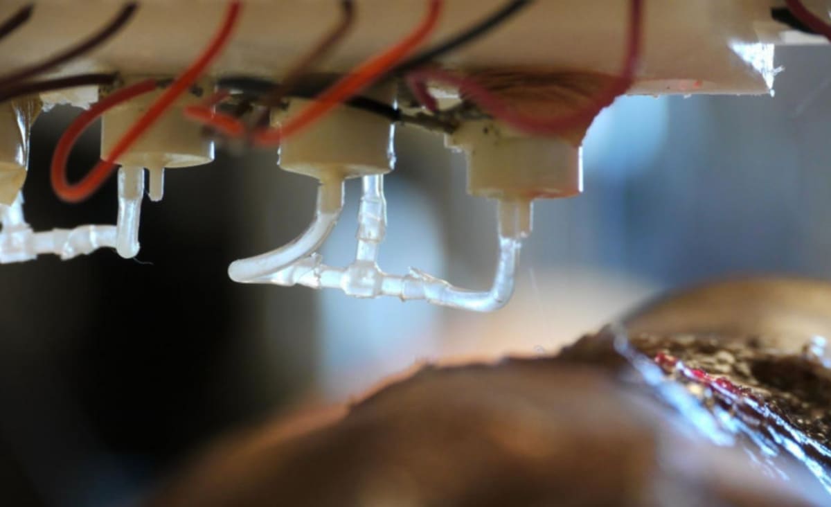 The Future of Medicine: 3D Printers Can Already Create Human Body Parts