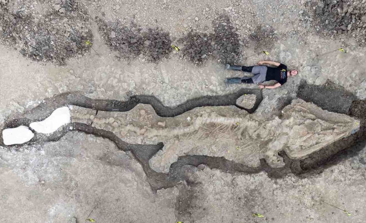 One of the Largest ‘Sea Dragon’ Fossils Ever Found in Britain Unearthed As a Complete Ichthyosaur