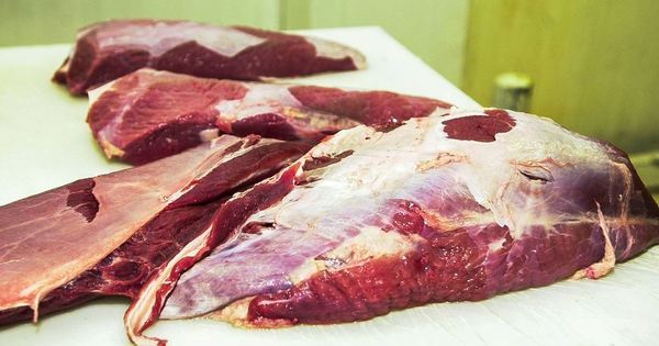 Exportações de carne podem fechar 2019 com resultado recorde