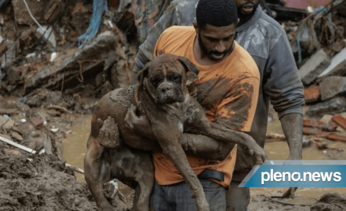 Tragédia! Confira imagens de Petrópolis após fortes chuvas