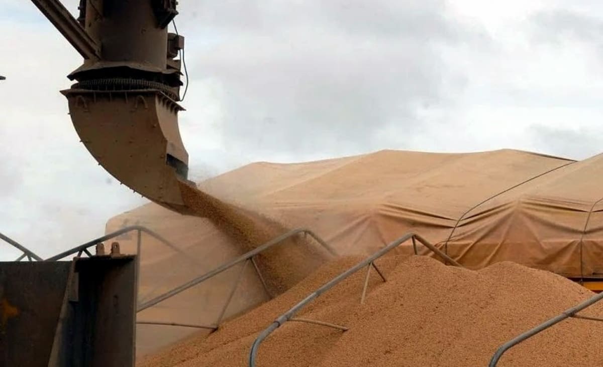 IBGE estima recorde na colheita de grãos em 2022