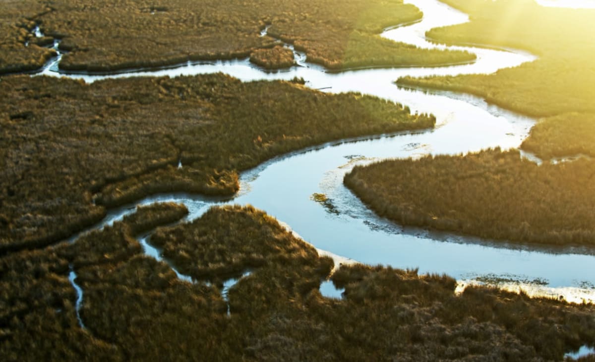 Watersheds and river basins: Here's why they are vitally important
