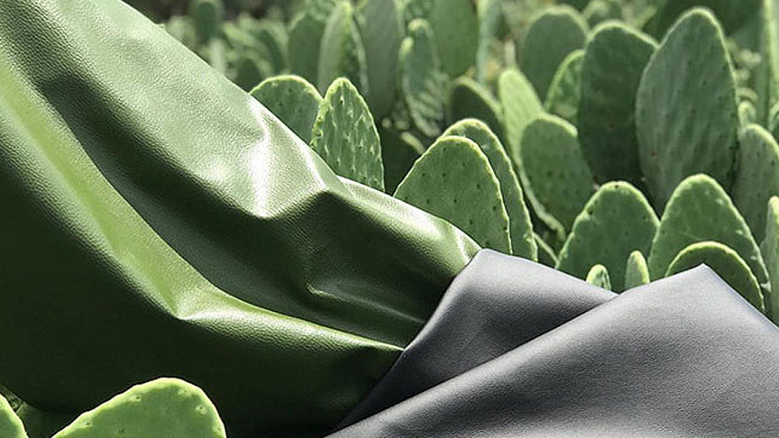 Creating Leather From Cactus to Save Animals and the Environment