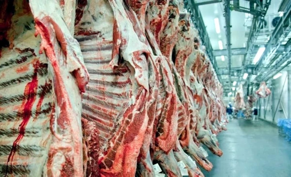 Brasil bate recorde de exportação de carne bovina em março
