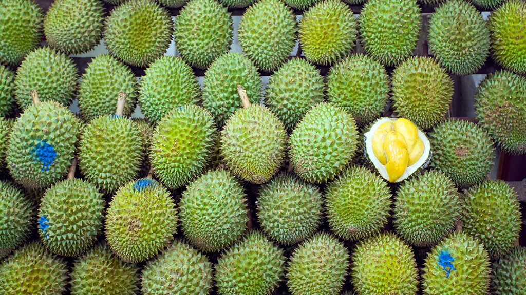 Durian odor forces German post office to evacuate, report says