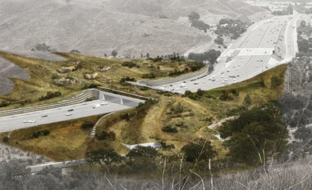 World’s Biggest Wildlife Crossing Breaks Ground on Earth Day