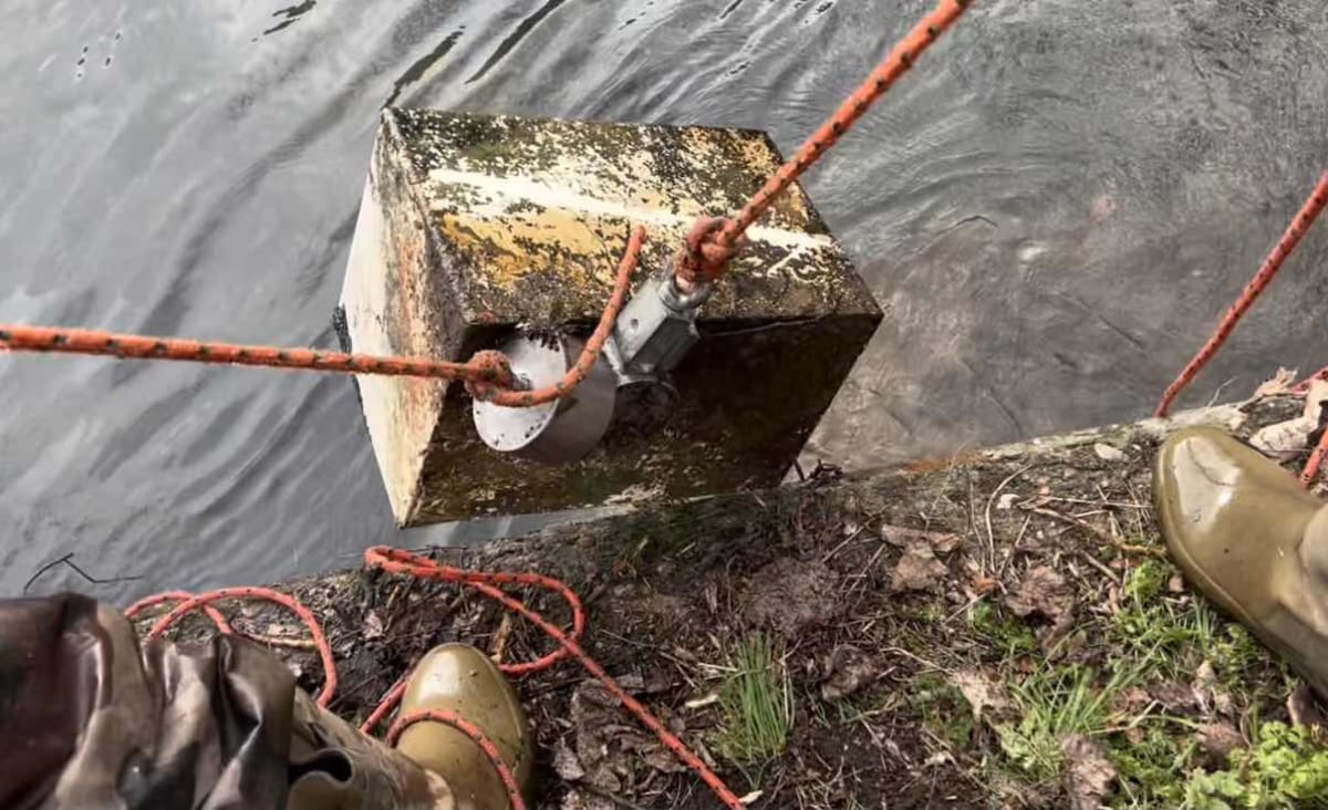 Teen Finds a Safe Containing Thousands on Bottom of River – Tracks Down Owner Who'd Been Robbed 22 Years ago