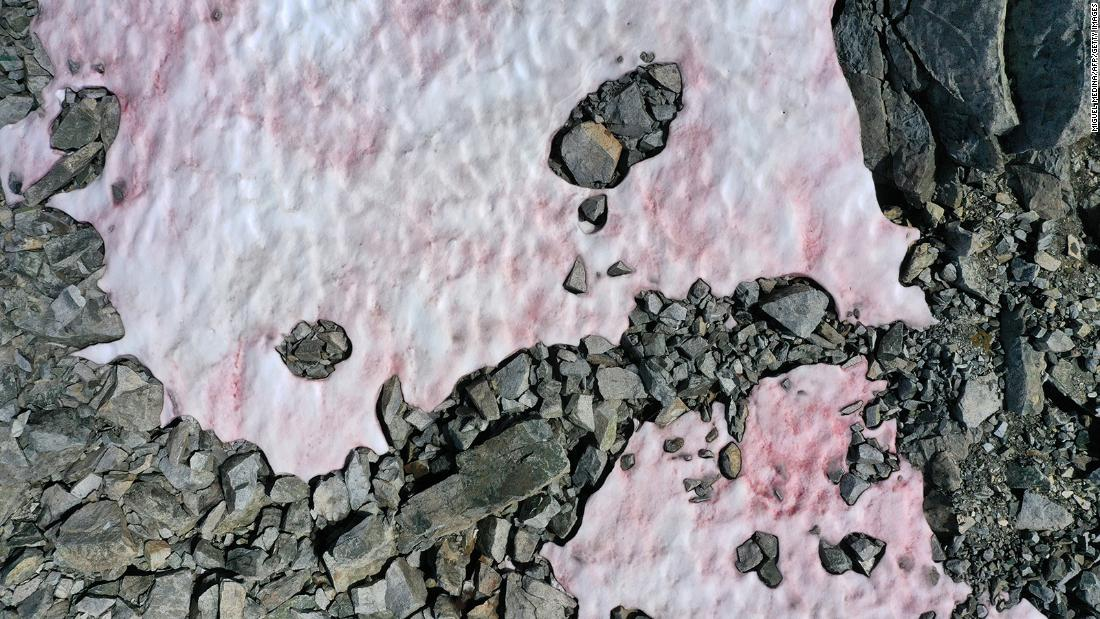 An Italian glacier is turning pink. And that's not good news