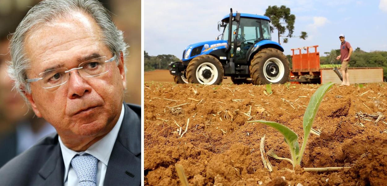 Reforma tributária de Paulo Guedes também poupa o agronegócio