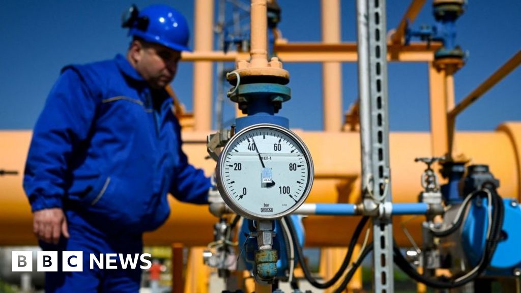 EU agrees to cut gas use over Russia supply fears