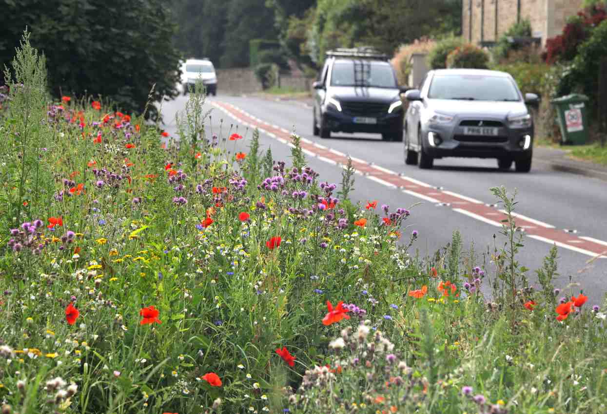 Village Tackles Speeding by Planting Thousands of Flowers Because Drivers Slow Down as They Pass By