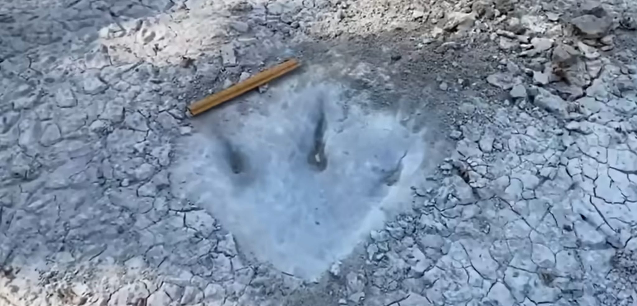 Watch How Texas Man Found Huge Dinosaur Tracks in Riverbed Dried From Drought