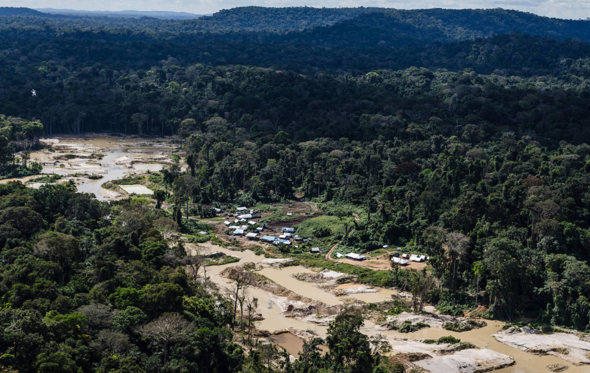 Alerta de desmatamento na Amazônia cresceu 34,5% em um ano, diz Inpe | Revista Fórum