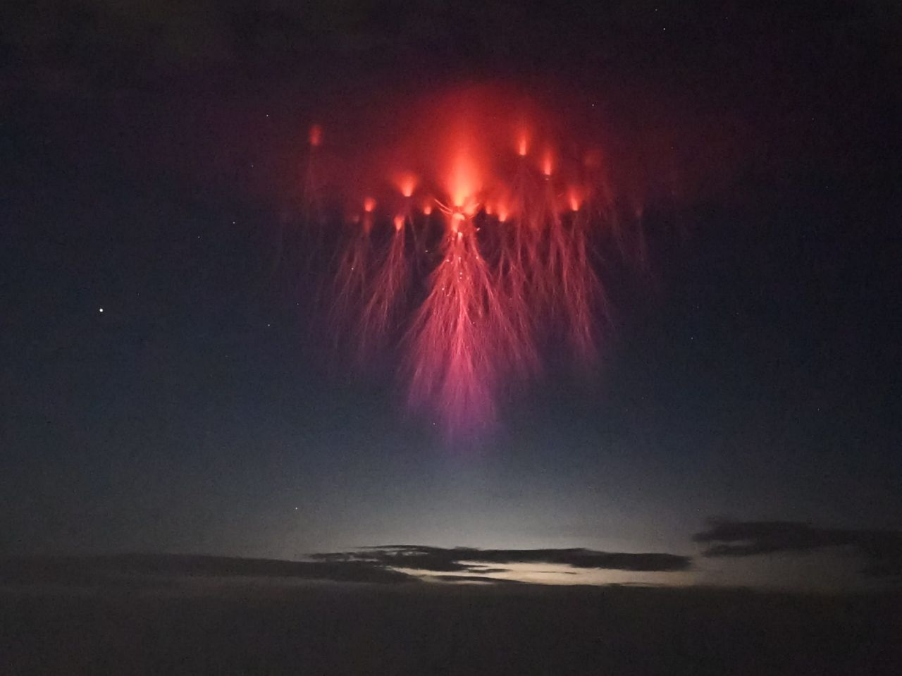 A spectacular image reveals the electrical tentacles of red jellyfish sprite lightning in the skies above Texas