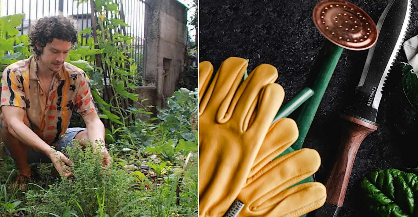 Good Gardening The Final Week: What We Learned After a Long Year - Plus Must Have Gardening Tools