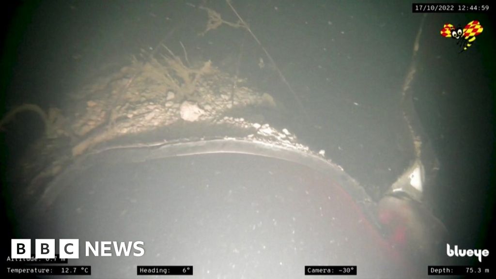 Nord Stream blast 'blew away 50 metres of pipe'
