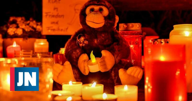 Mãe e filhas assumem responsabilidade por fogo que matou 30 macacos